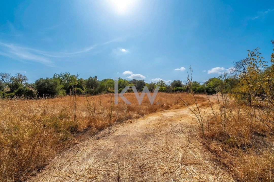 Terreno para Venda em Santa Barbara de Nexe Foto 13