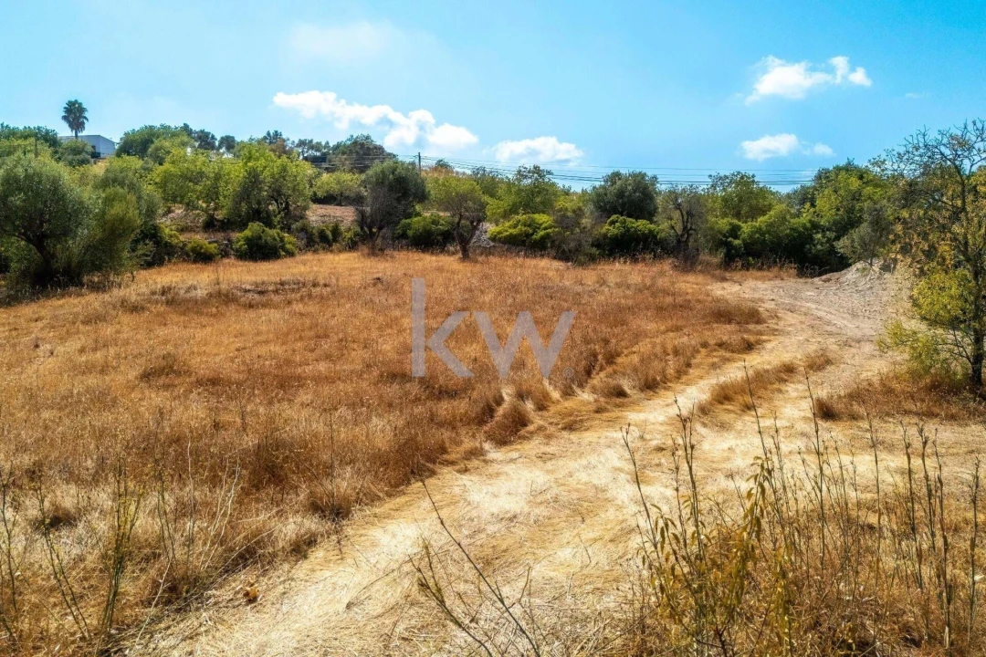 Terreno para Venda em Santa Barbara de Nexe Foto 6