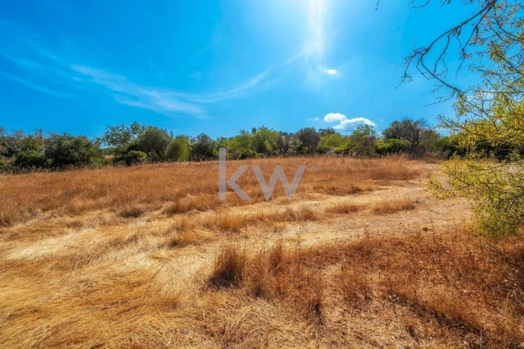 Terreno para Venda em Santa Barbara de Nexe Foto 17
