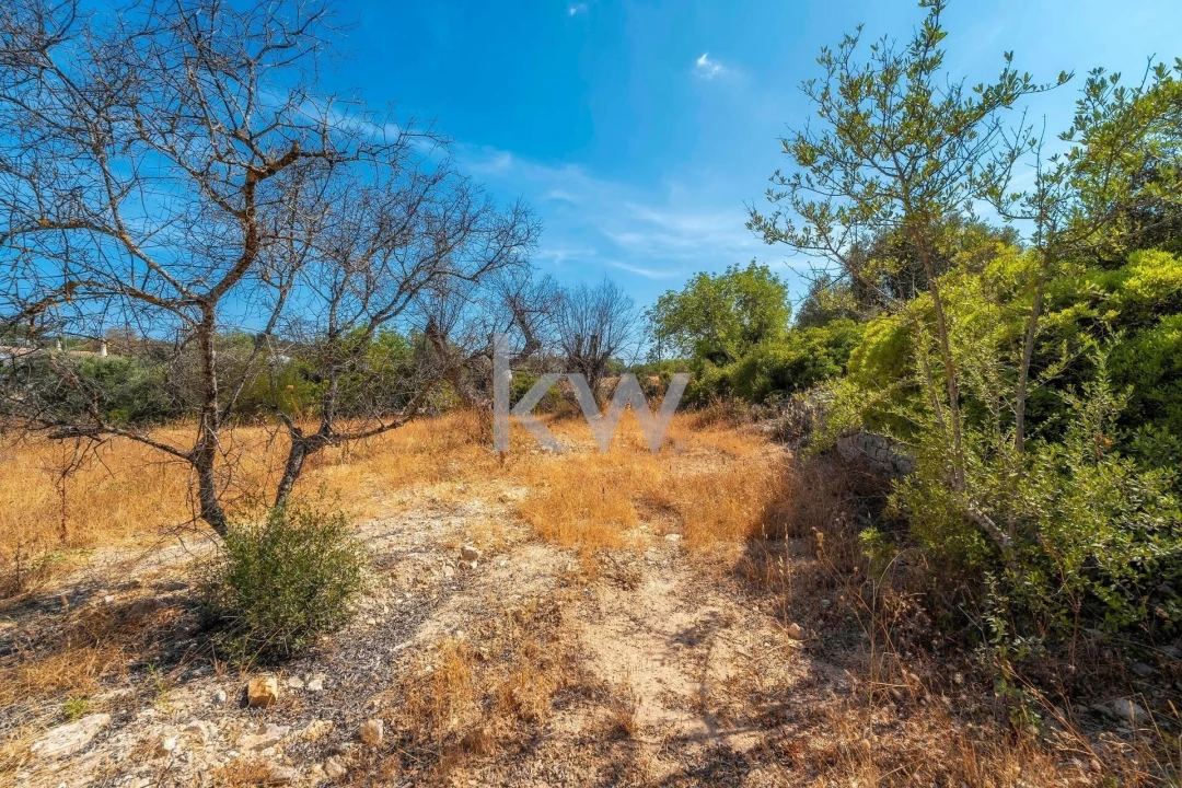 Terreno para Venda em Santa Barbara de Nexe Foto 21