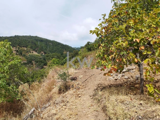 Moradia T3 para Venda em Monchique Foto 41
