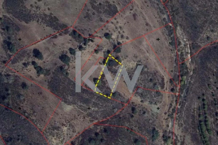 Terreno para Venda em Martim Longo Foto 6