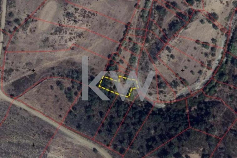 Terreno para Venda em Martim Longo Foto 7