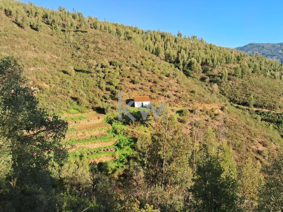 Terreno para Venda em Monchique Foto 12