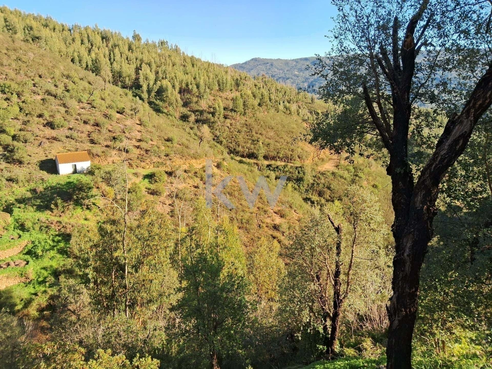 Terreno para Venda em Monchique Foto 11