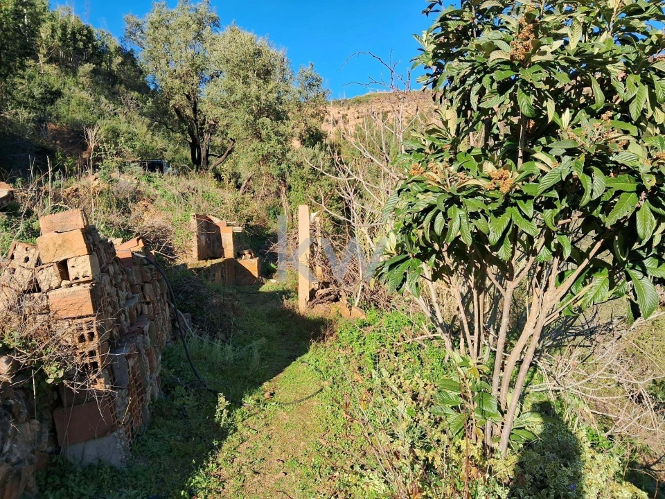 Terreno para Venda em Monchique Foto 8