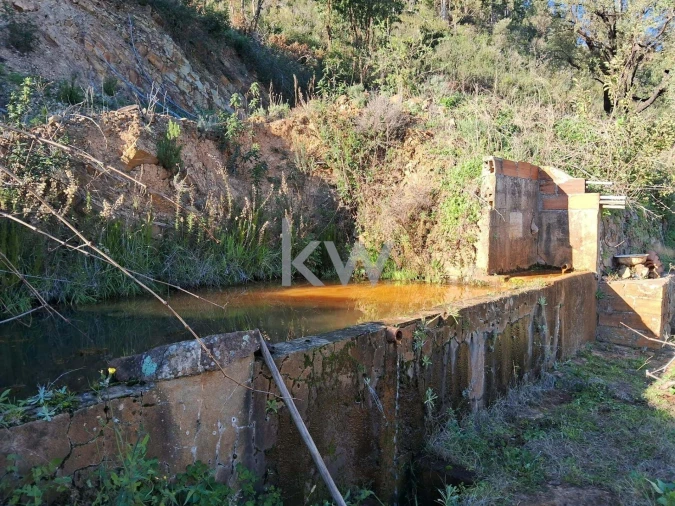 Terreno para Venda em Monchique Foto 7