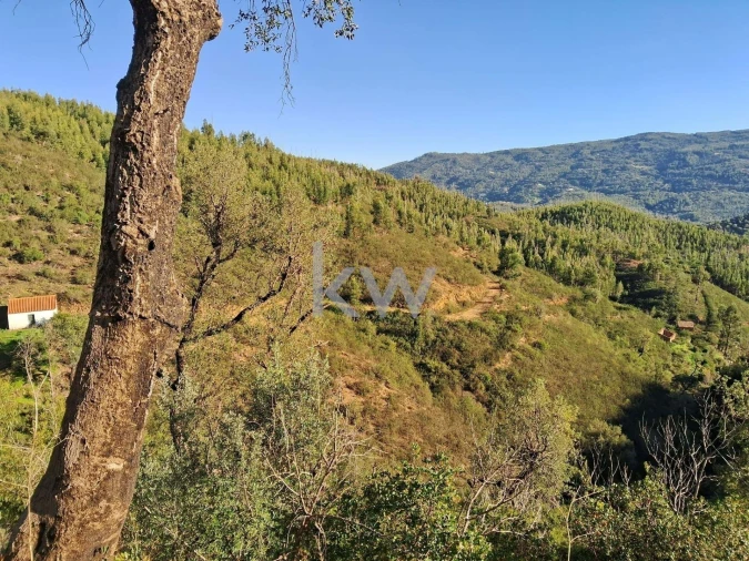Terreno para Venda em Monchique Foto 14