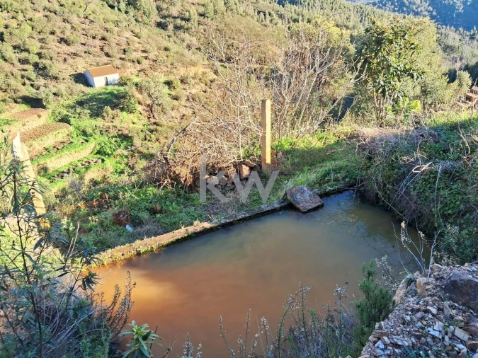 Terreno para Venda em Monchique Foto 3