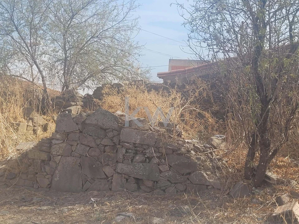 Armazém para Venda em Martim Longo Foto 4