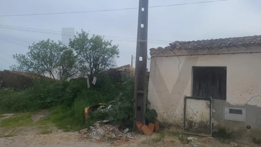 Armazém para Venda em Martim Longo Foto 8