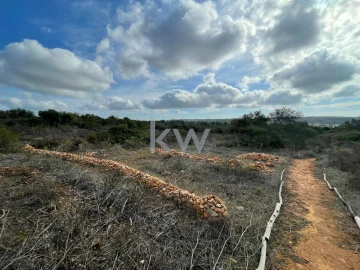 Terreno para Venda em Luz