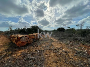 Terreno para Venda em Luz