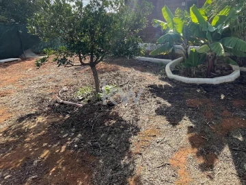 Terreno para Venda em Luz
