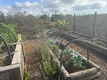 Terreno para Venda em Luz