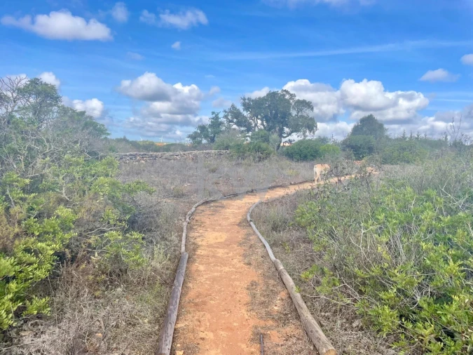 Terreno para Venda em Luz Foto 25