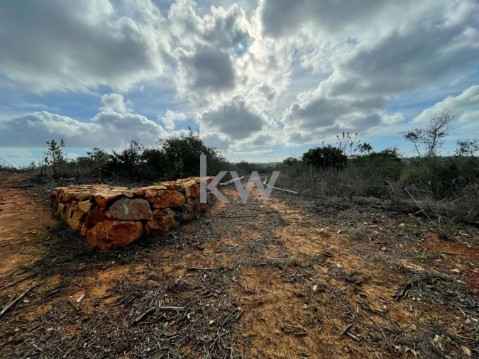 Terreno para Venda em Luz Foto 11