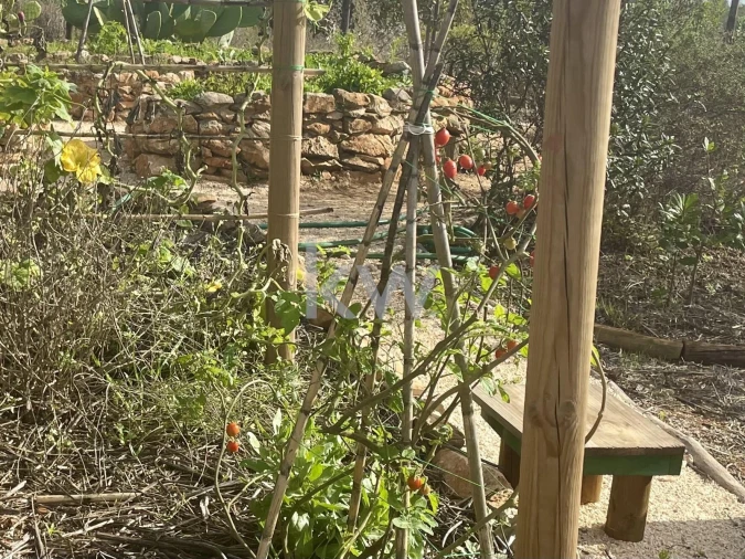 Terreno para Venda em Luz Foto 3