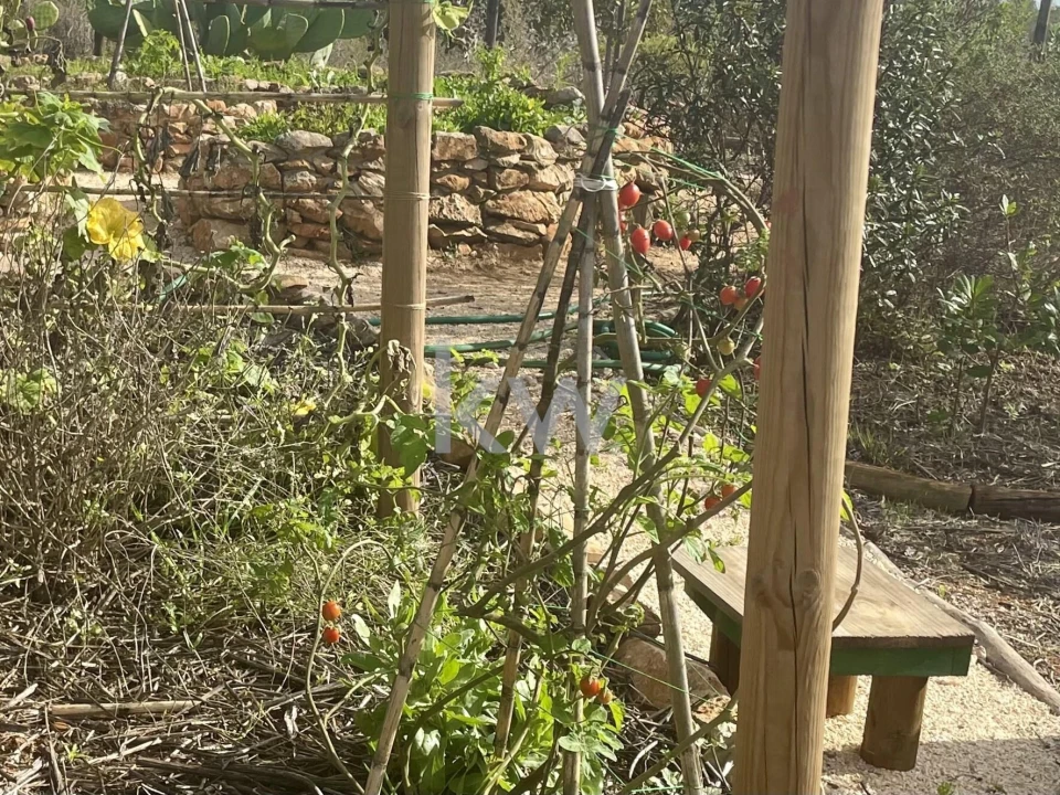 Terreno para Venda em Luz Foto 3