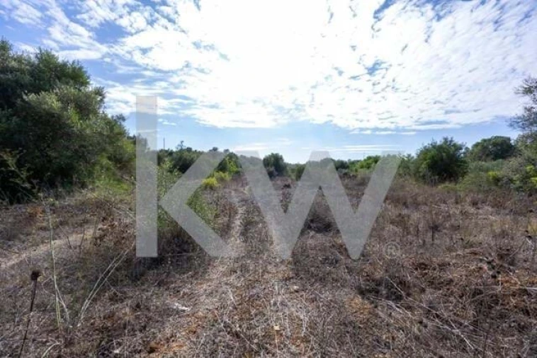 Terreno para Venda em Olhão Foto 6