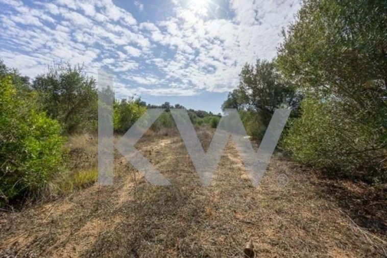 Terreno para Venda em Olhão Foto 8