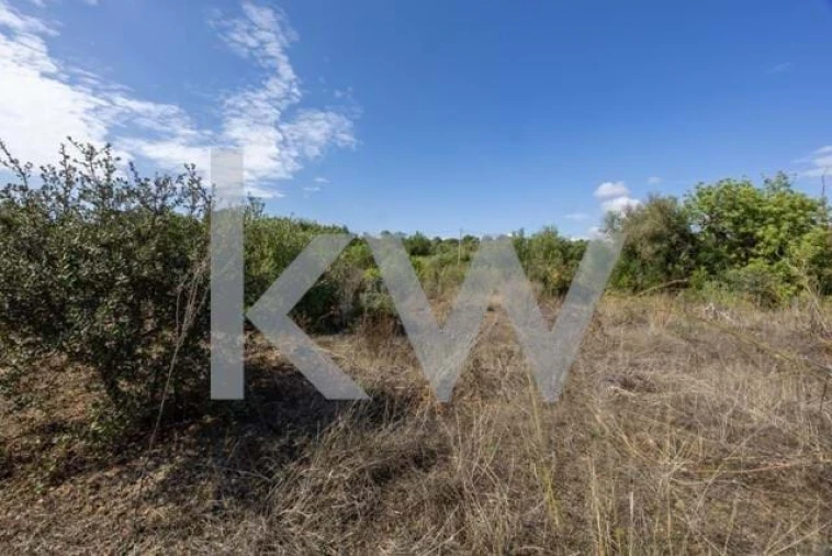 Terreno para Venda em Olhão Foto 17