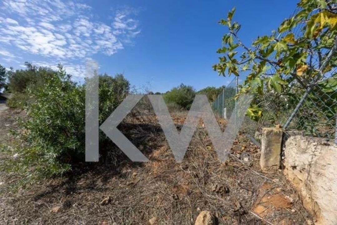 Terreno para Venda em Olhão Foto 10