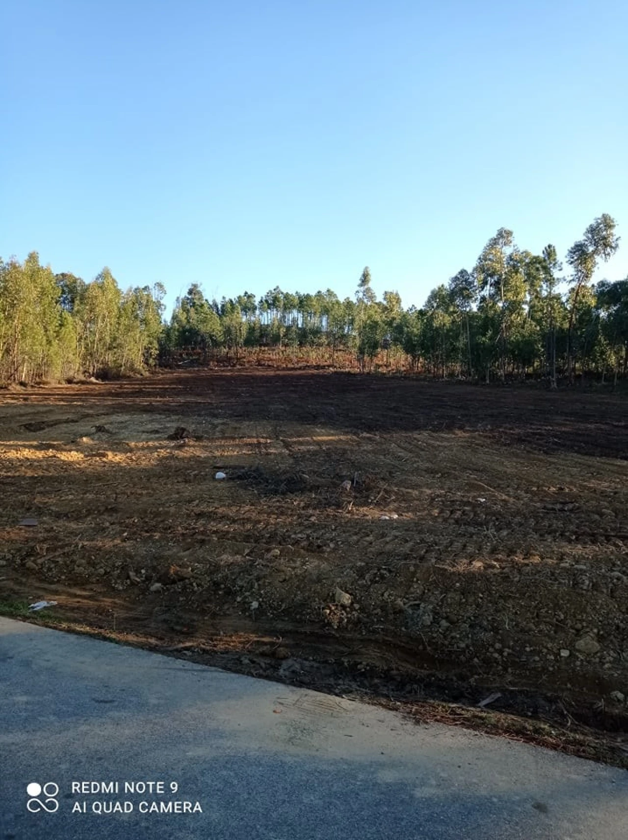 Terreno para Venda em Mação, Penhascoso e Aboboreira Foto 6