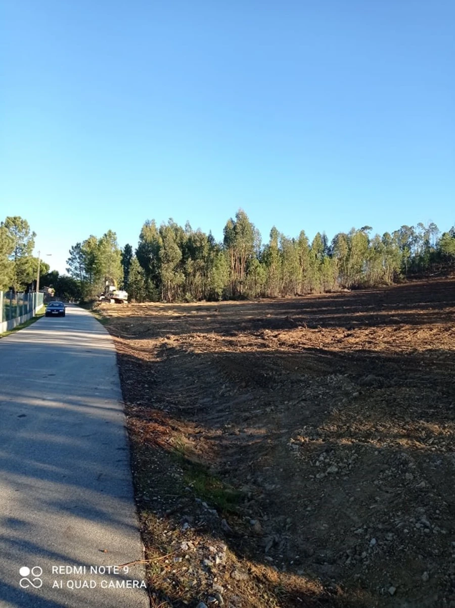 Terreno para Venda em Mação, Penhascoso e Aboboreira Foto 2