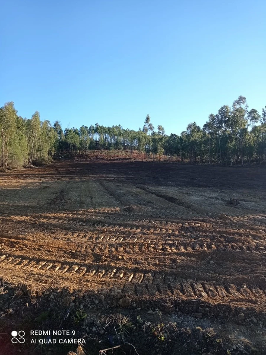 Terreno para Venda em Mação, Penhascoso e Aboboreira