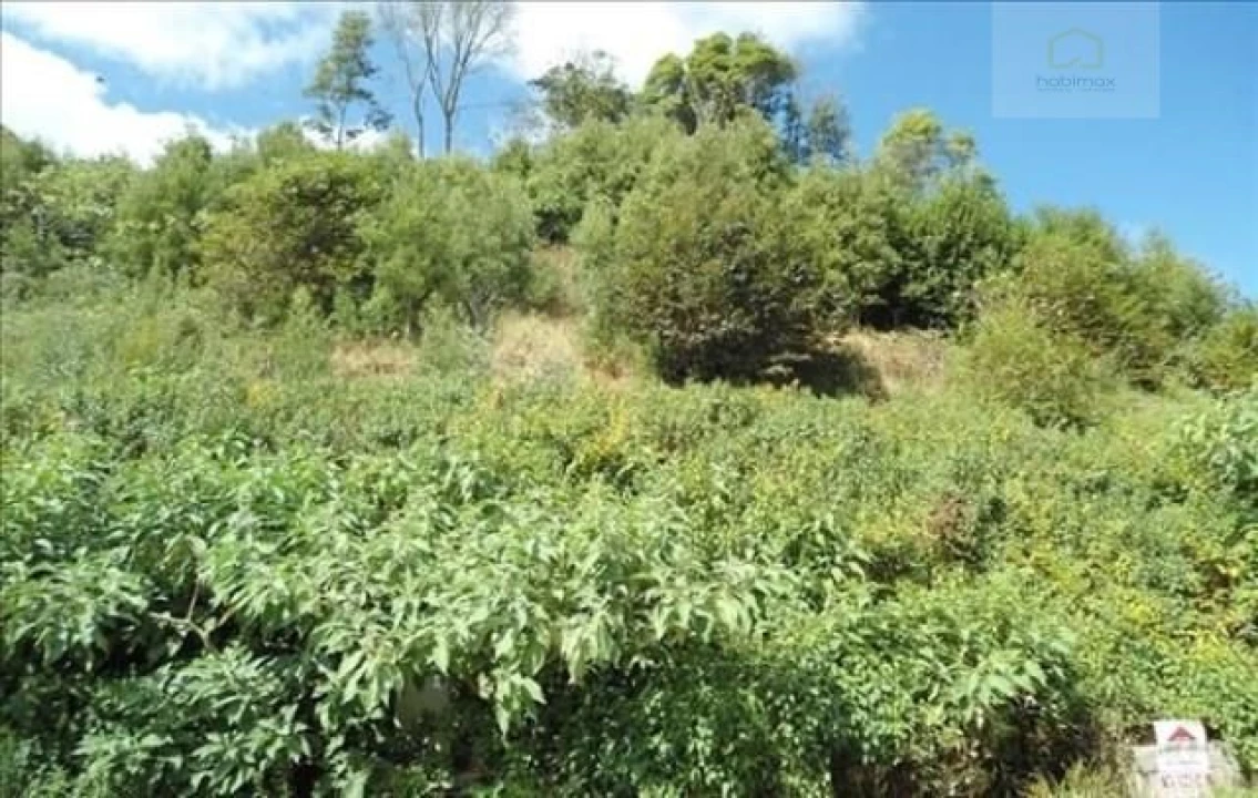 Terreno para Venda em Terra Chã Foto 3