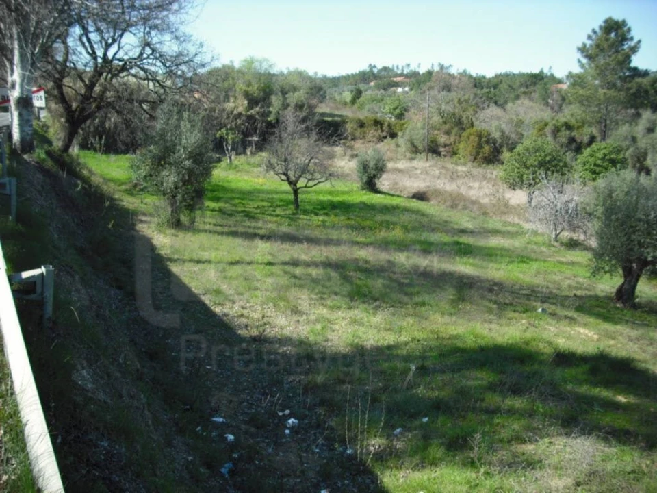 Terreno para Venda em Carregueiros Foto 4
