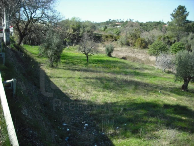 Terreno para Venda em Carregueiros Foto 4