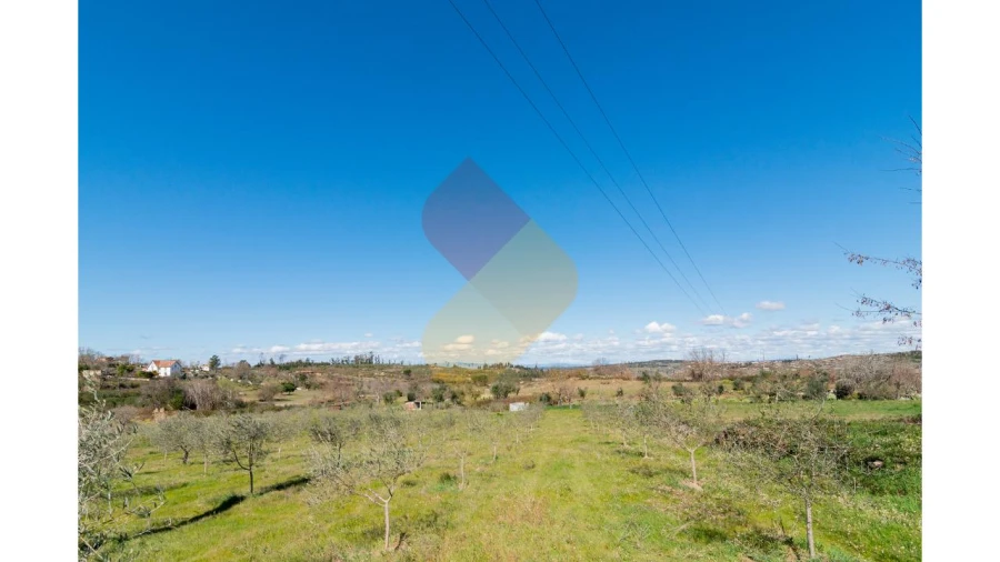 Terreno para Venda em Travanca de Lagos Foto 6