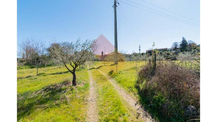 Terreno para Venda em Travanca de Lagos Foto 7