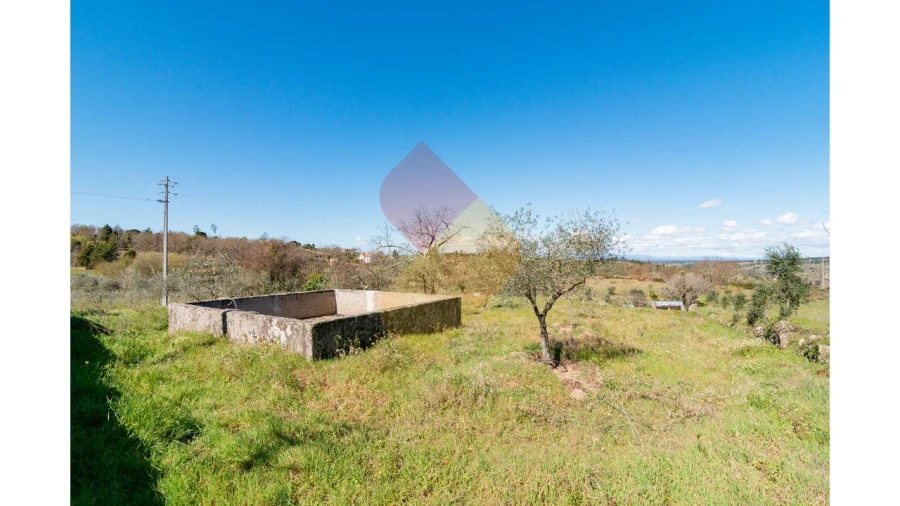 Terreno para Venda em Travanca de Lagos Foto 9