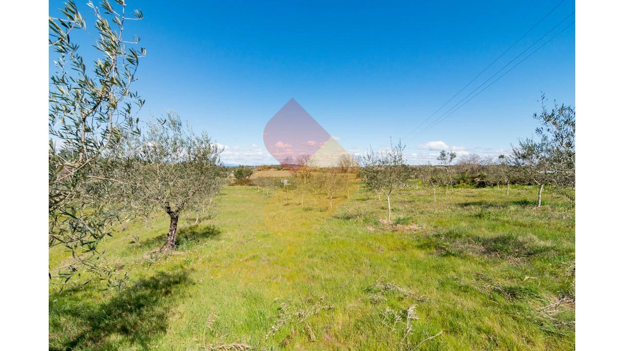 Terreno para Venda em Travanca de Lagos Foto 8