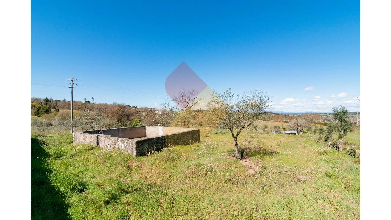 Terreno para Venda em Travanca de Lagos Foto 9