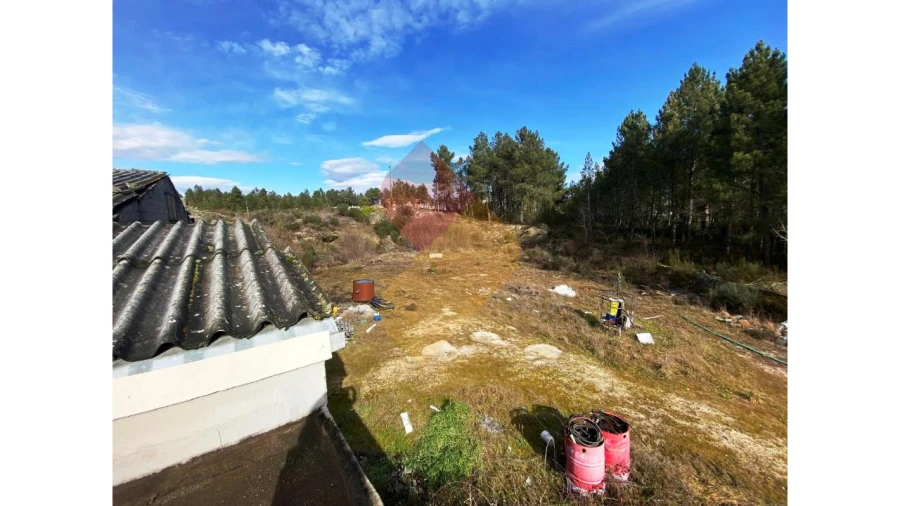 Armazém para Venda em Sernancelhe e Sarzeda Foto 8