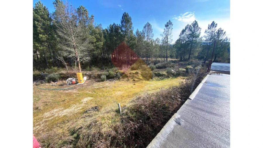 Armazém para Venda em Sernancelhe e Sarzeda Foto 9