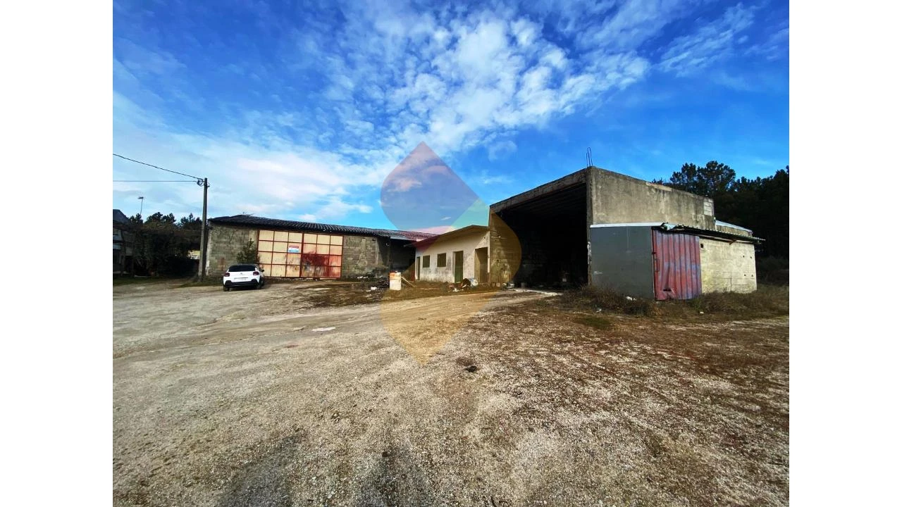 Armazém para Venda em Sernancelhe e Sarzeda Foto 4