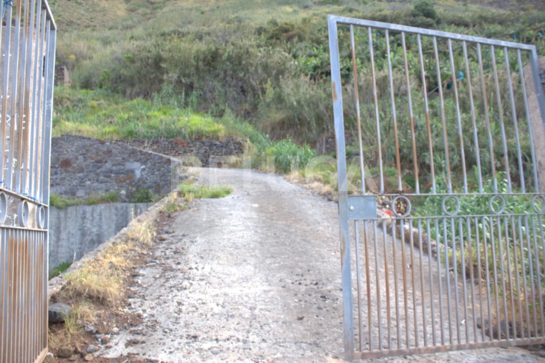 Terreno para Venda em Paul do Mar Foto 60