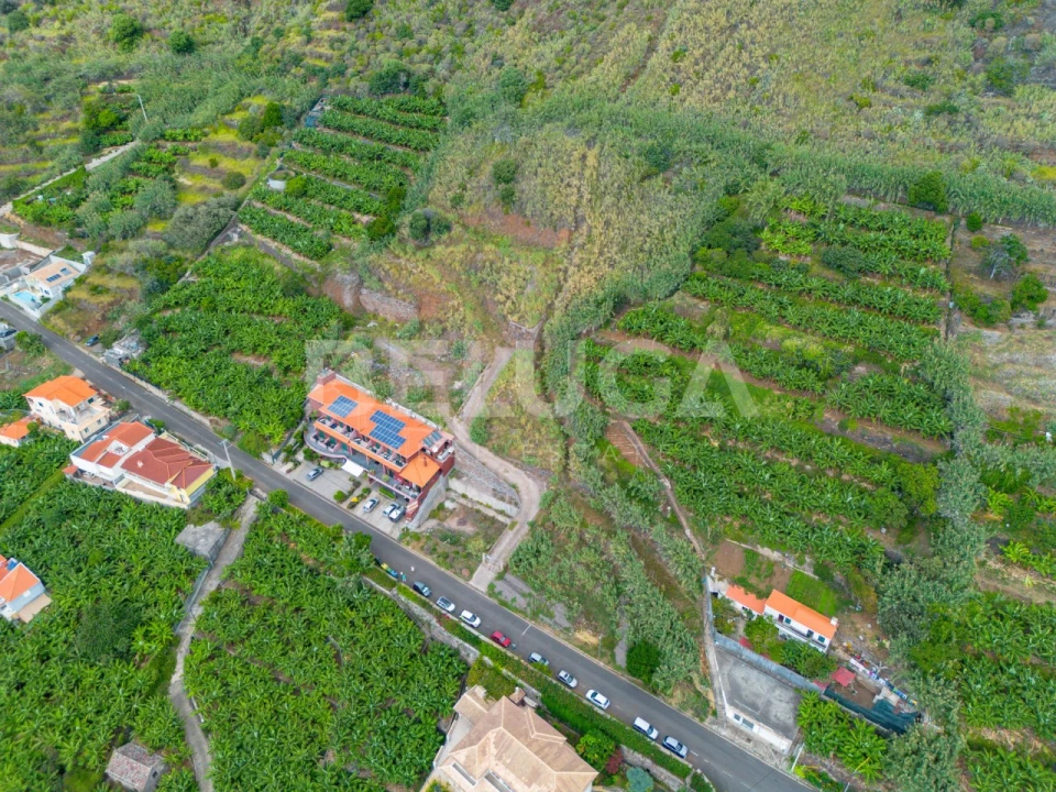 Terreno para Venda em Paul do Mar Foto 3