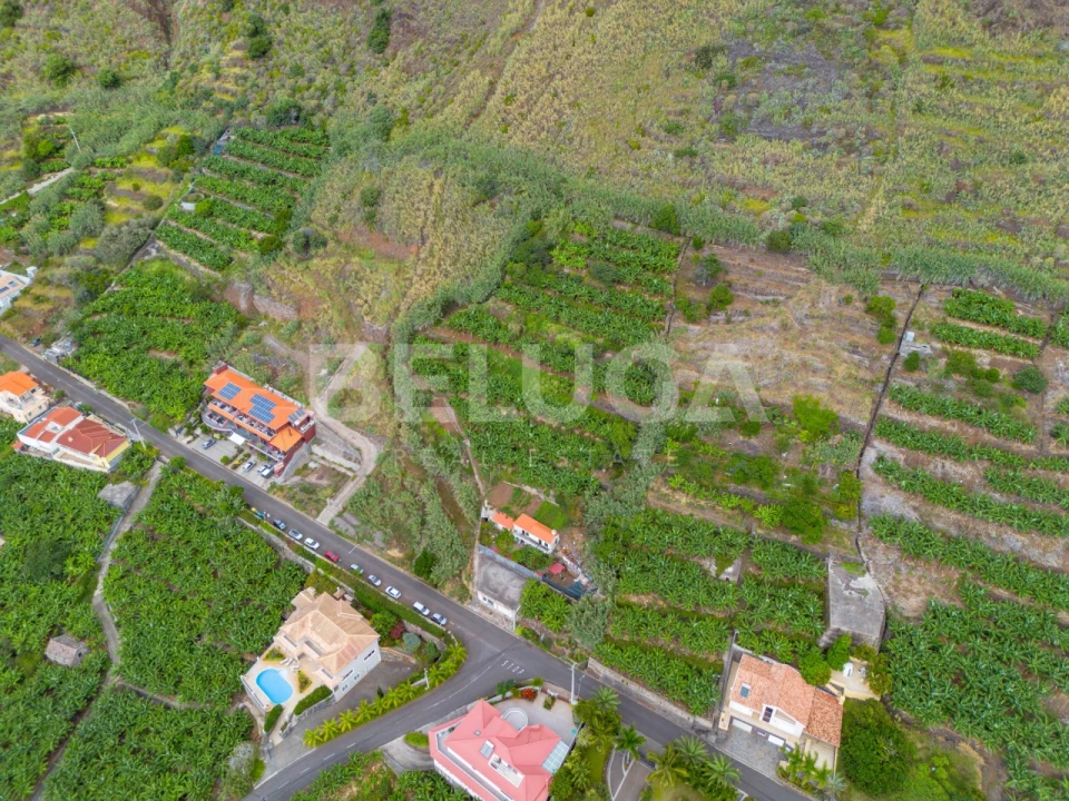 Terreno para Venda em Paul do Mar Foto 9