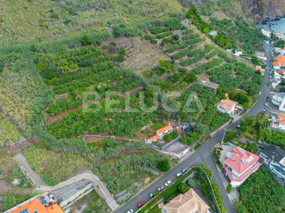 Terreno para Venda em Paul do Mar Foto 17