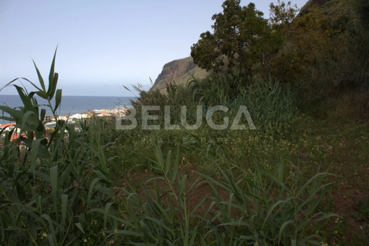 Terreno para Venda em Paul do Mar Foto 53