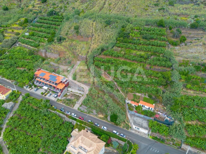 Terreno para Venda em Paul do Mar Foto 8