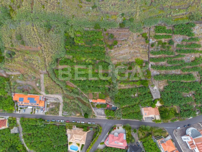 Terreno para Venda em Paul do Mar Foto 10