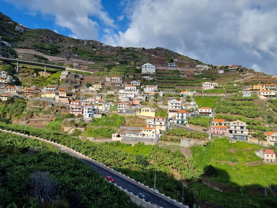 Terreno para Venda em Camara de Lobos Foto 2