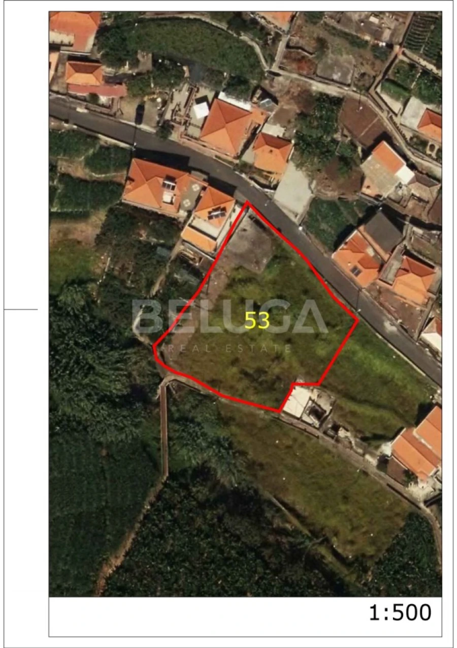 Terreno para Venda em Camara de Lobos Foto 11